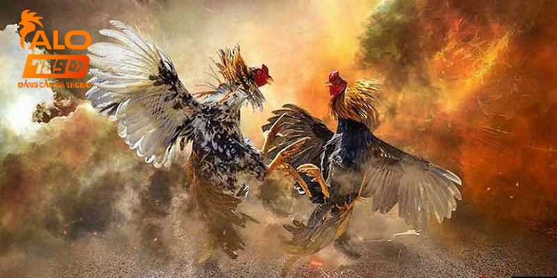 Trang web cung cấp nhiều ưu đãi độc quyền cho cược thủ 