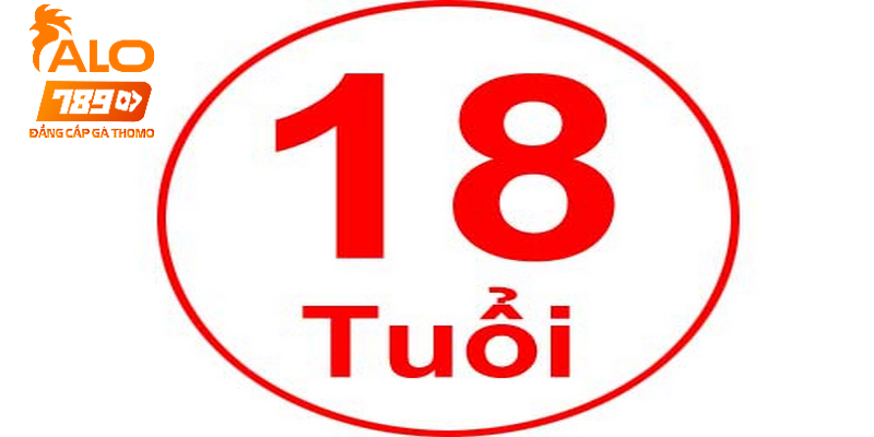 Trước khi trở thành đại lý của nhà cái anh em phải đủ 18 tuổi 