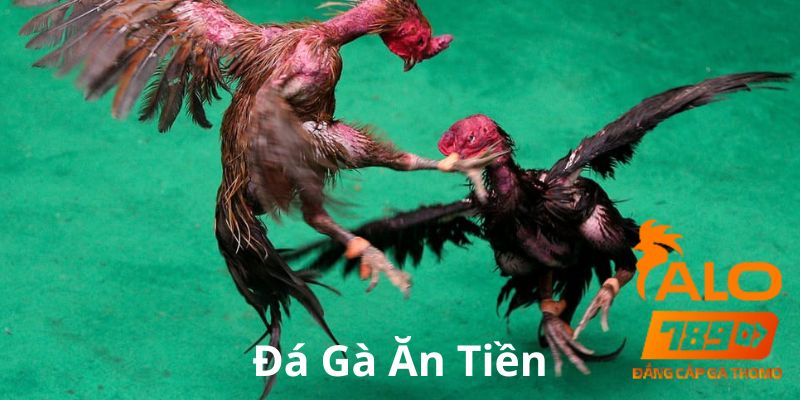 đá gà ăn tiền