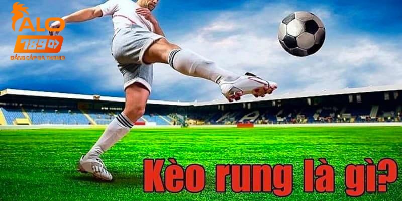 Đôi nét về kèo rung 